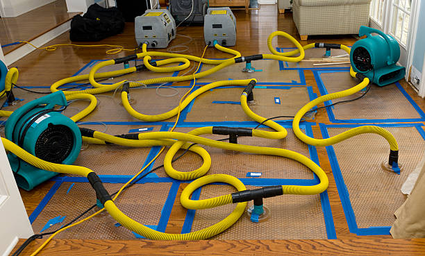 Professional Water Damage Repair technician working in Kress, TX